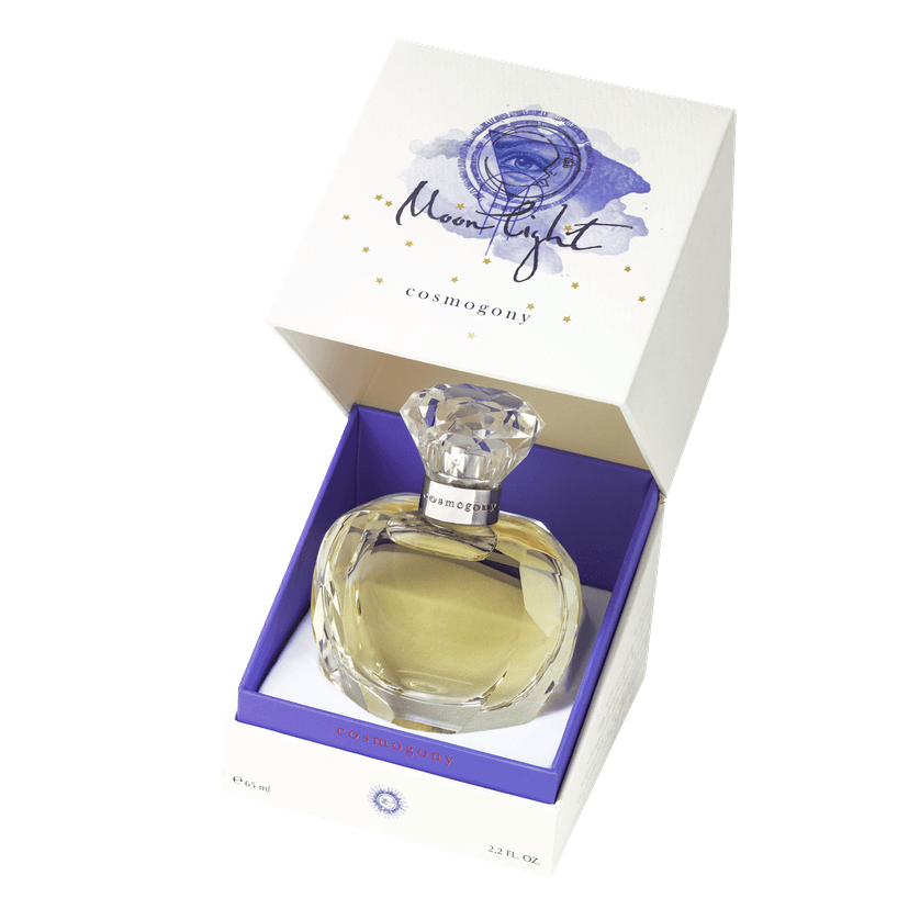 Moon light / Лунный свет